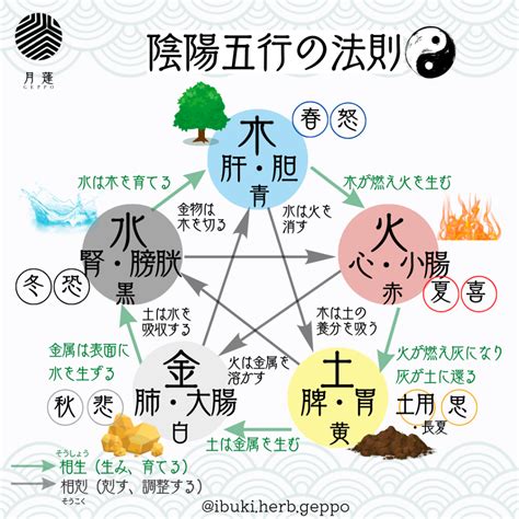 五行循環|五行循環 